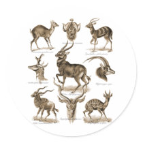 Antelopes Sticker