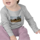Anthills in Northern Territory Shirt