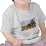 Anthills in Northern Territory T-shirts