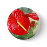 Anthurium Button