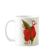 Anthurium scherzerianum Bookstore Promo Coffee Mugs