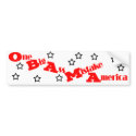 Anti Obama BumperSticker