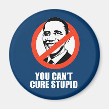 Anti-Obama - you can't cure stupid Magnets