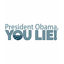 Anti-Obama You Lie!