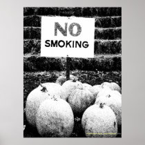 Anti-Smoking Pumpkins - B&W Sketch