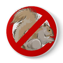 Anti-Squirrel Pinback Button