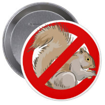 Anti-Squirrel Pinback Button