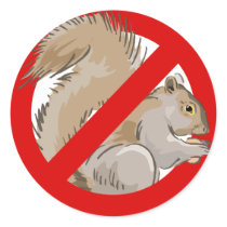Anti-Squirrel Round Stickers
