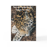 Anti Valentine's Day card - leopard never changes
