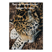 Anti Valentine's Day card - leopard never changes