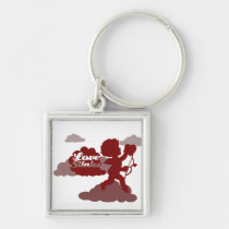 Anti Valentines Day Cupid Love stinks keychains