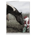"Anticipation" Greeting Cards
