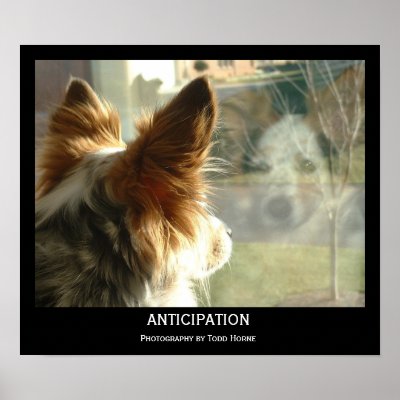 Anticipation Posters by TooLittleTime
