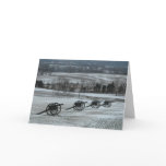 Antietam Battlefield Card