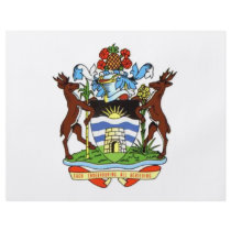 Antigua and Barbuda Coat of Arms Custom Flyer