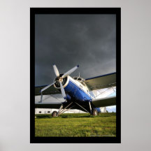 Antinov An-2 Colt Print