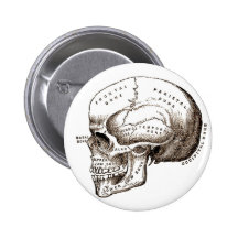 Antique Anatomy Anatomical Skull Pin