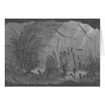 Antique aquarium print seahorses fishes cards