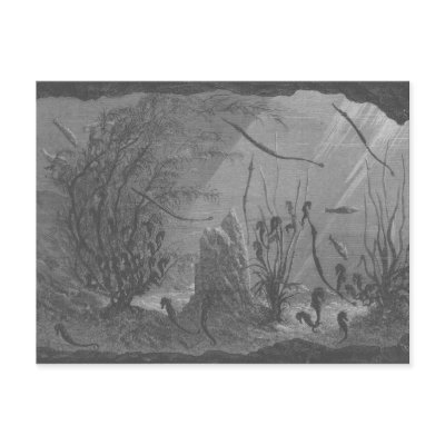 Antique aquarium print seahorses fishes post cards by fanfreluche