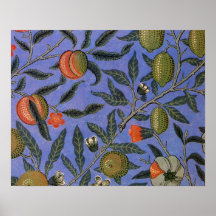 Antique Botanical Design Poster