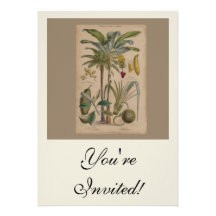 Antique Botanical Print - Tropical Fruit Announcements