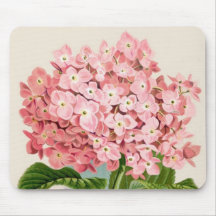 Antique Botanical Romantic Pink Hydrangea Mousepad