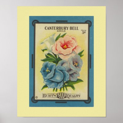 Antique Canterbury Bells Poster by botanicalblooms