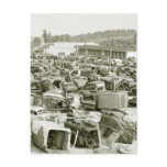 Antique Car Collector's Dream, 1940s Postcard