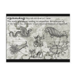 Antique Cryptozoology Postcards