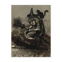 Antique Engraving Witch on Broom Post Cards