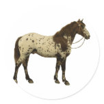 Antique Horses - Appaloosa