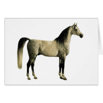 Antique Horses - Arabian