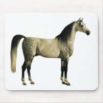 Antique Horses - Arabian