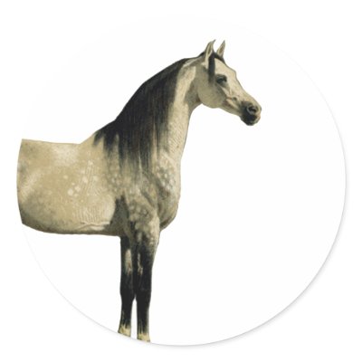 Antique Horses - Arabian by dogsandhorses