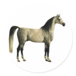 Antique Horses - Arabian