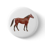 Antique Horses - Thoroughbred