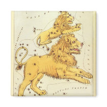 Antique Leo, the Lion, Signs of the Zodiac Fridge Magnets