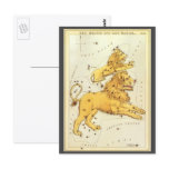 Antique Leo, the Lion, Signs of the Zodiac Postcards