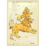 Antique Leo, the Lion, Signs of the Zodiac t-shirts