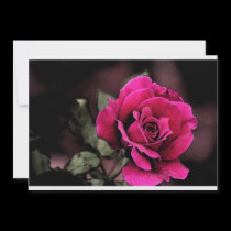 Antique Love Rose invitations