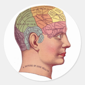 antique Mind Brain Map Phrenology head Classic Round Sticker - antique_mind_brain_map_phrenology_head_sticker-raf50a87687dd4aad89cd82a540661f81_v9waf_8byvr_324