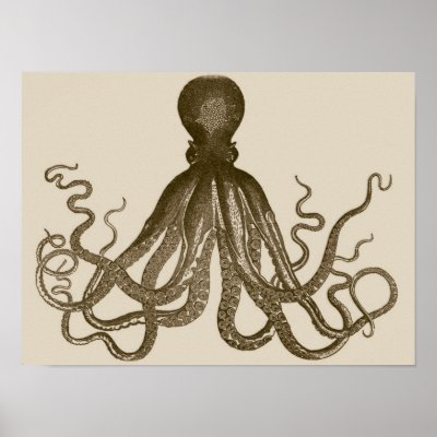 Antique Octopus Poster by SharayaBrooks