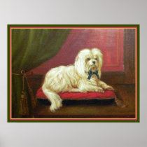 Antique Painting - Pampered Maltese on a Pillow Print