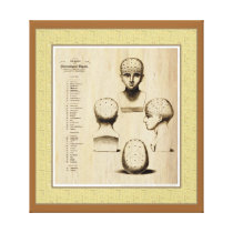 Antique Phrenology Fine Art Canvas Stretched Canvas Print