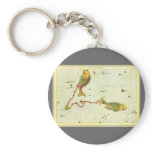 Antique Pisces, the Fish, Signs of the Zodiac Key Chain