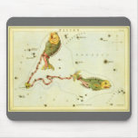 Antique Pisces, the Fish, Signs of the Zodiac Mousepads