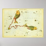 Antique Pisces, the Fish, Signs of the Zodiac posters