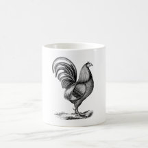 Antique Print Vintage Rooster Cockerel Coffee Mugs