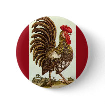 Antique Proud Rooster, Backyard Chickens Pinback Buttons