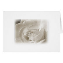 Antique Rose Cards